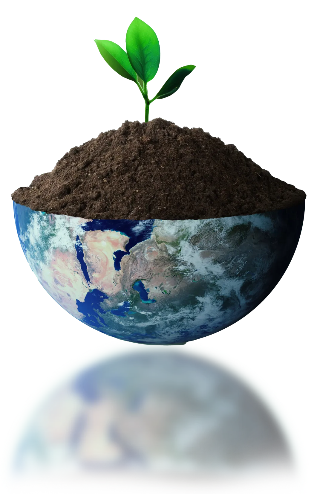 Sustainability initiatives at Hamlin Trading