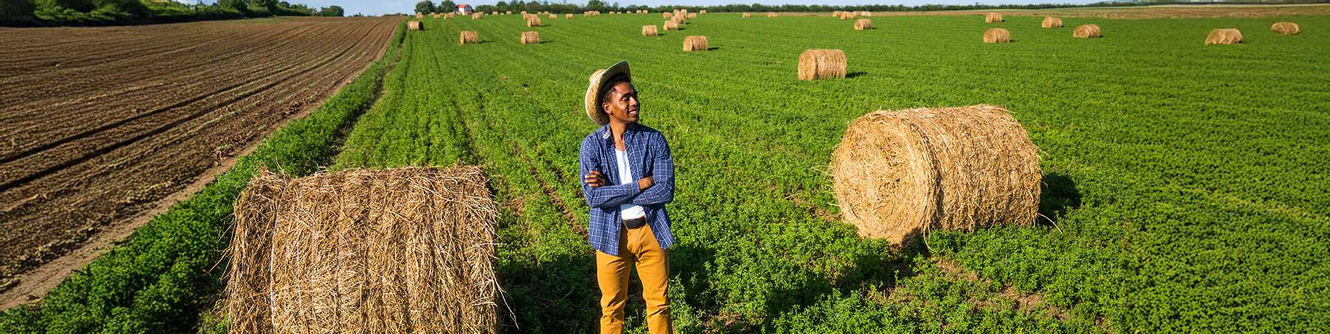 Agricultural Inputs banner — crops, irrigation and technology