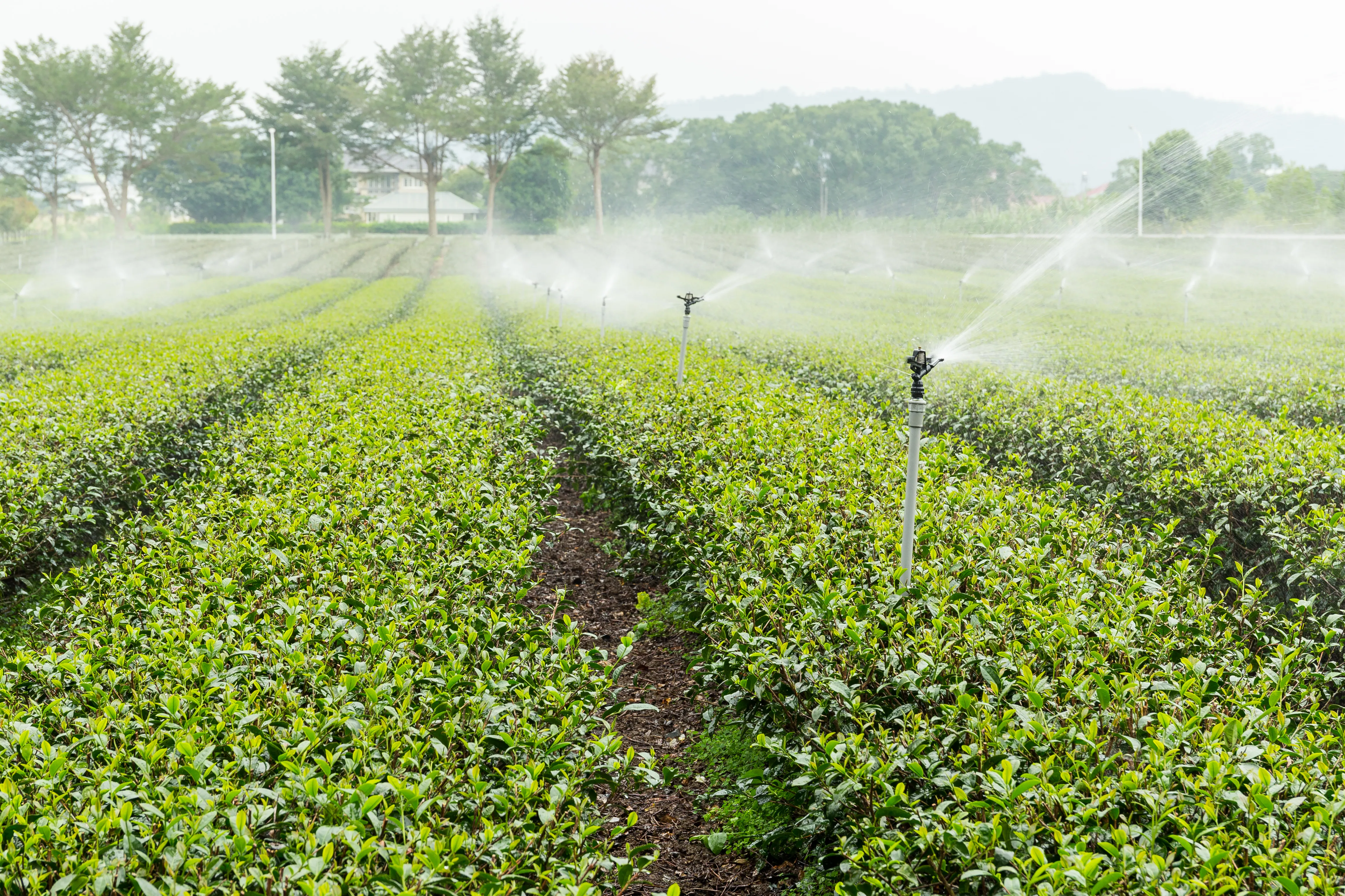 Irrigation technologies for farms and greenhouses